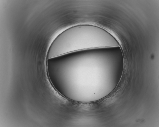 X0000091060959200708060957