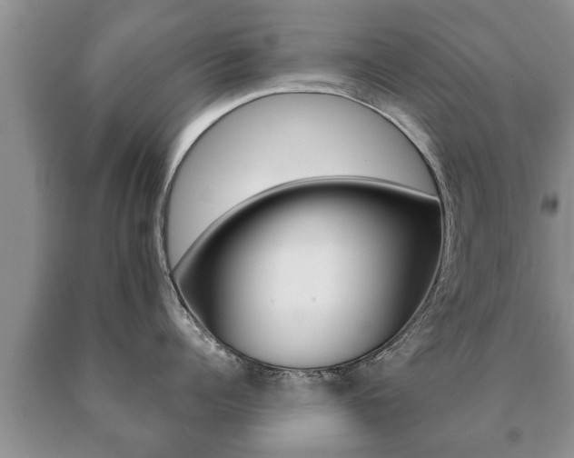 X0000091060960200708060957