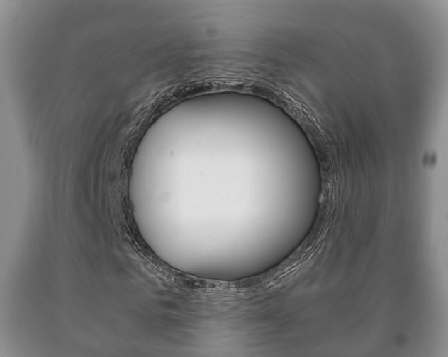 X0000091060961200708060956
