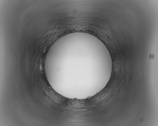X0000091060962200708060956