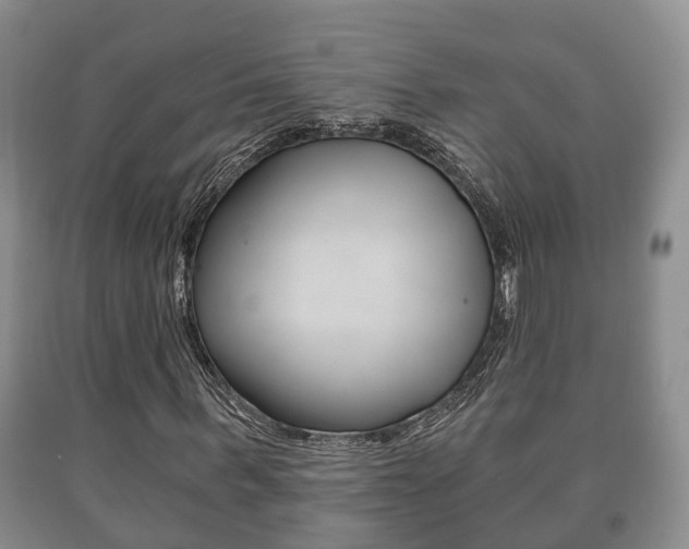X0000091060963200708060956