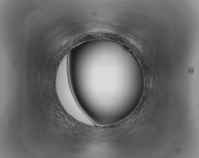 X0000091060965200708060956