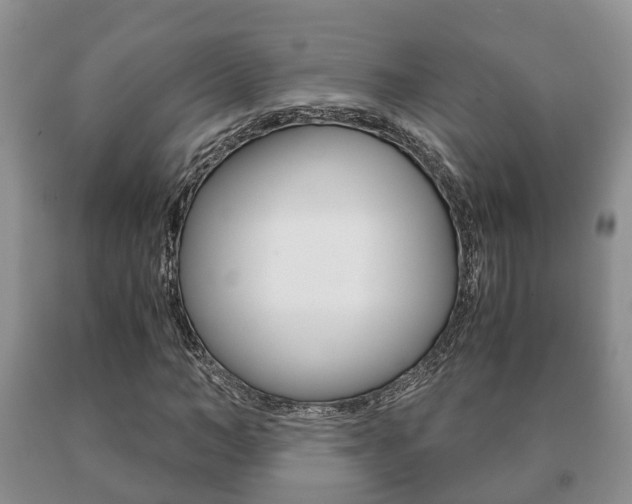 X0000091060966200708060956