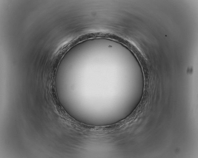 X0000091060967200708060956