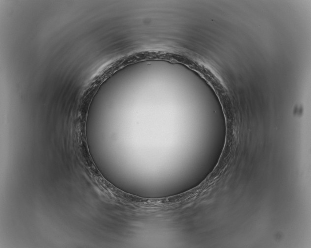 X0000091060968200708060956
