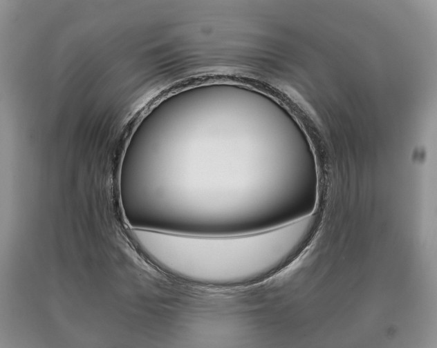 X0000091060969200708060956