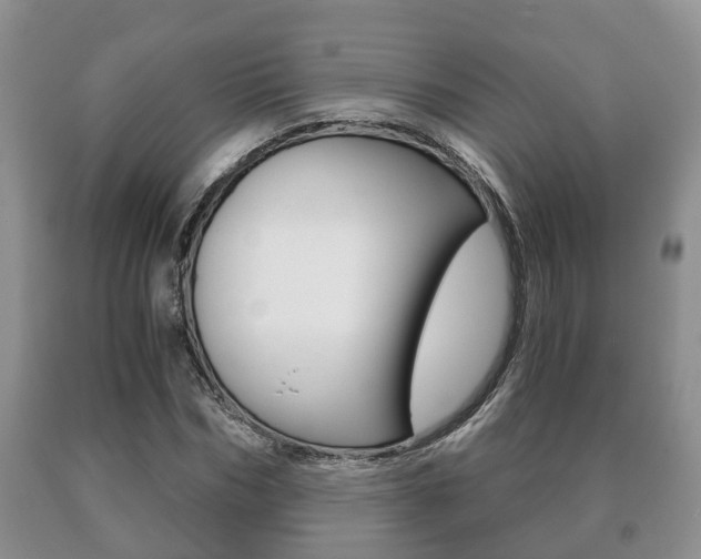 X0000091060970200708060956