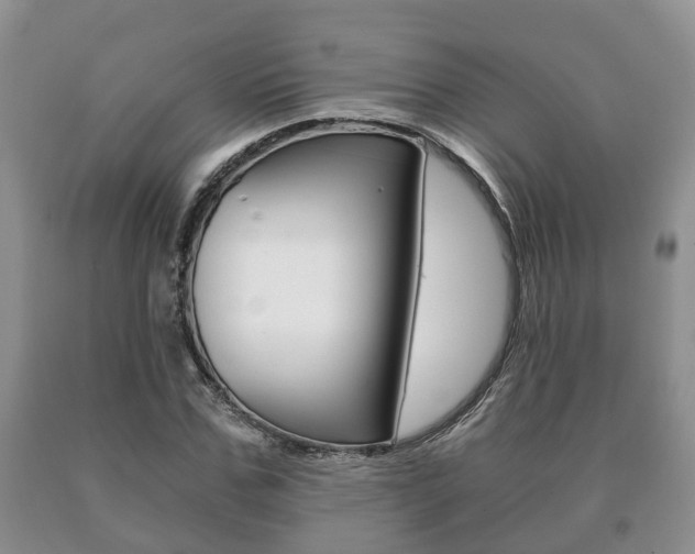 X0000091060971200708060956