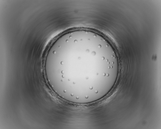 X0000091060974200708060956