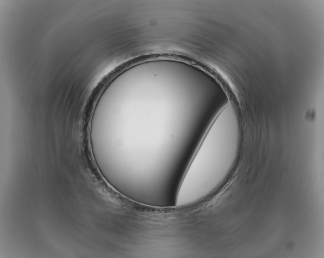 X0000091060975200708060956
