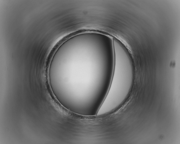 X0000091060976200708060956