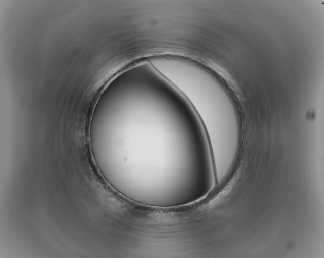 X0000091060977200708060956
