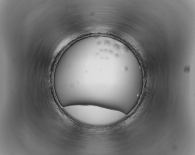X0000091060978200708060956