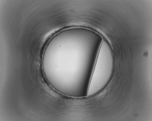 X0000091060979200708060956
