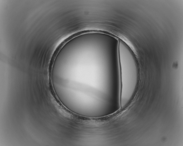 X0000091060980200708060956