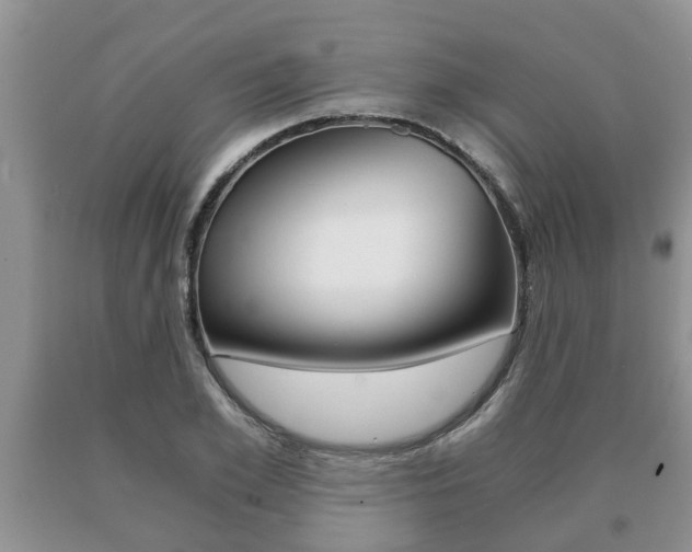 X0000091060981200708060956