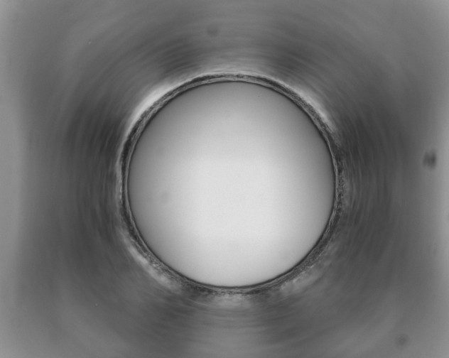 X0000091060982200708060956