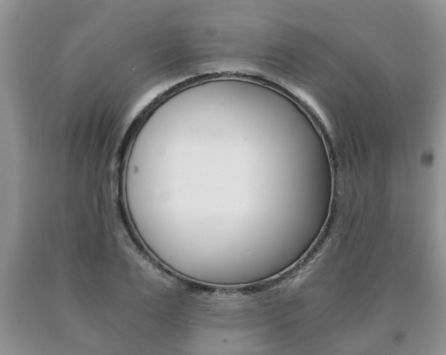 X0000091060983200708060956
