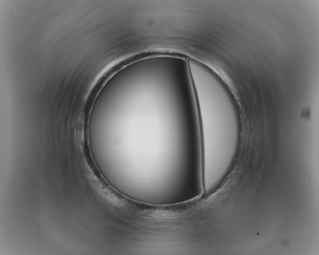 X0000091060984200708060956