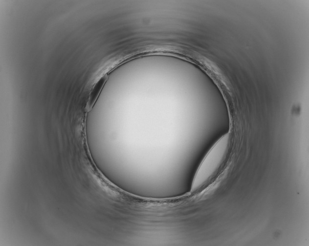 X0000091060985200708060956