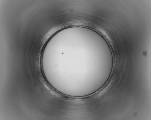 X0000091060986200708060956