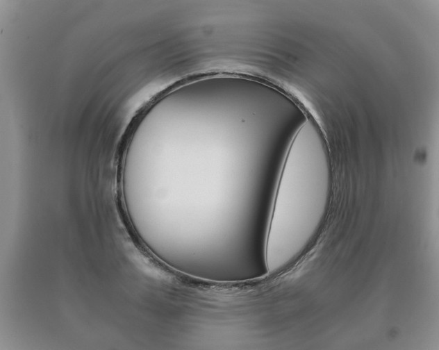 X0000091060987200708060956