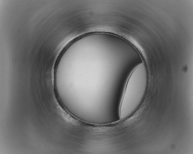 X0000091060988200708060956