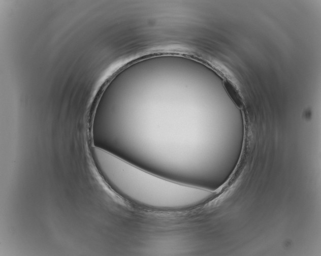 X0000091060989200708060956