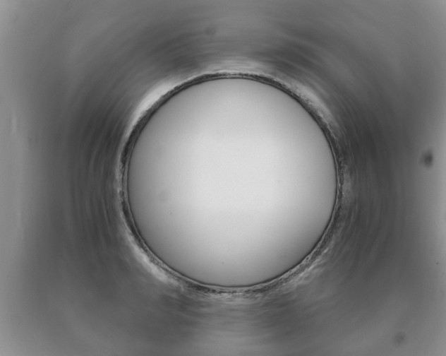 X0000091060990200708060956
