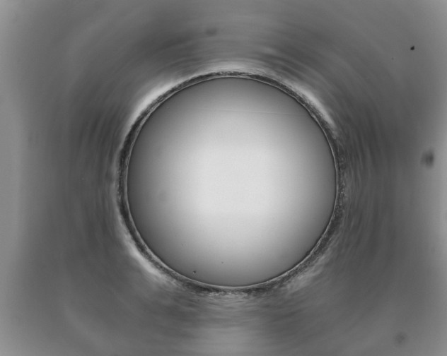 X0000091060991200708060956