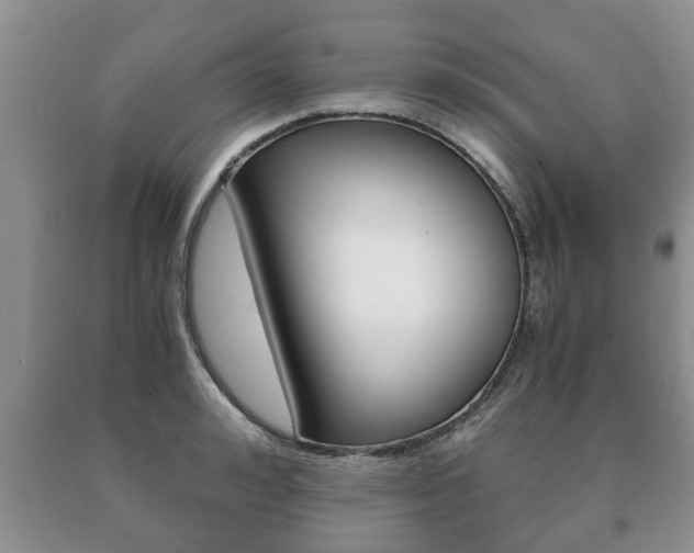 X0000091060992200708060956