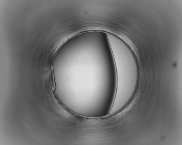 X0000091060993200708060956