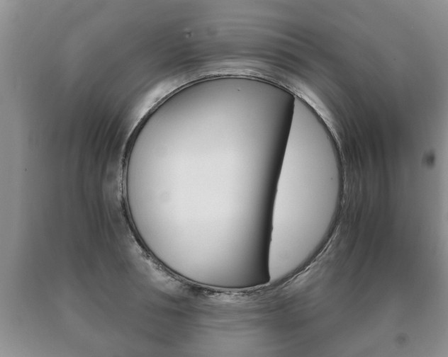 X0000091060994200708060956
