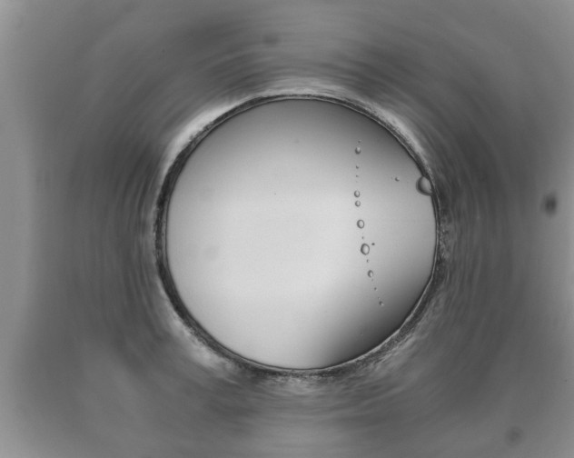 X0000091060995200708060956