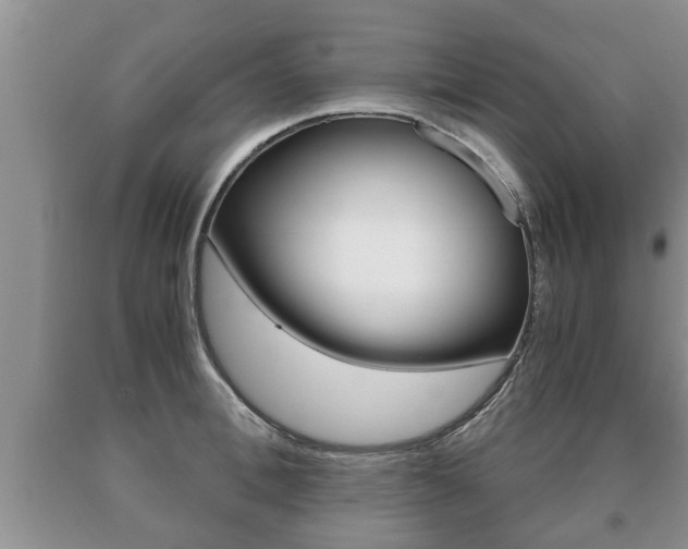 X0000091060996200708060956
