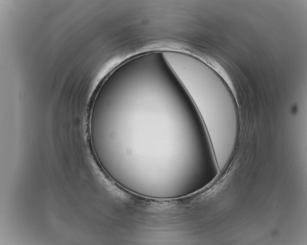 X0000091060997200708060956