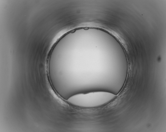 X0000091060998200708060956