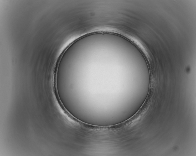 X0000091060999200708060956