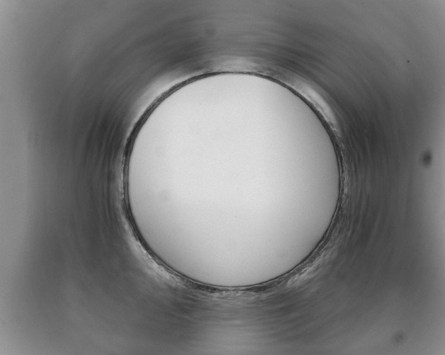 X0000091061000200708060956