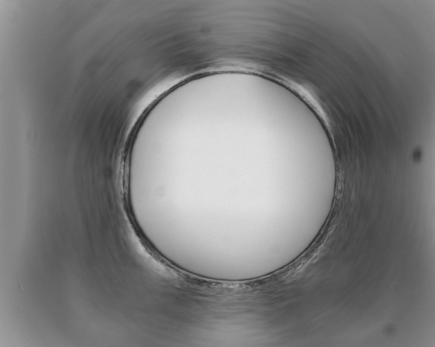 X0000091061003200708060956