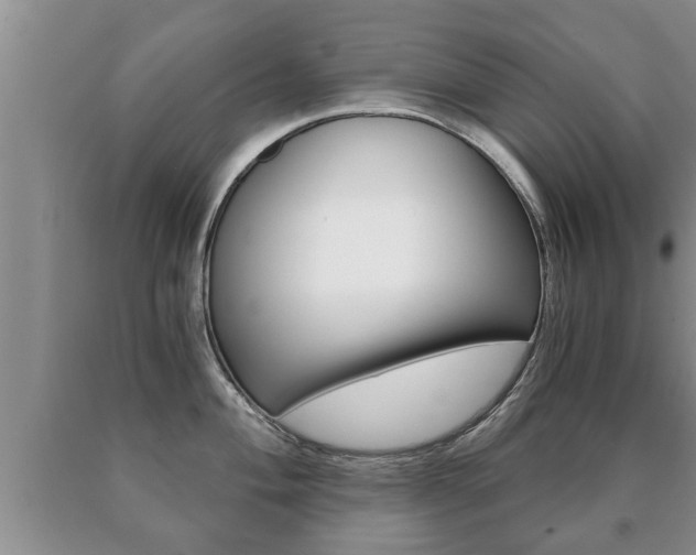 X0000091061004200708060956