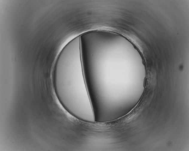 X0000091061007200708060956