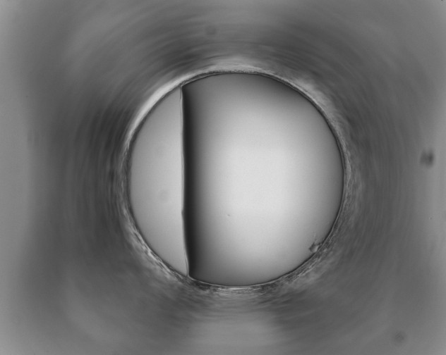 X0000091061008200708060955