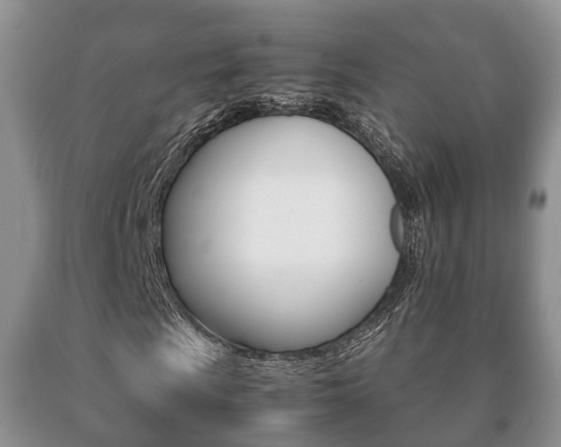 X0000091061009200708060955