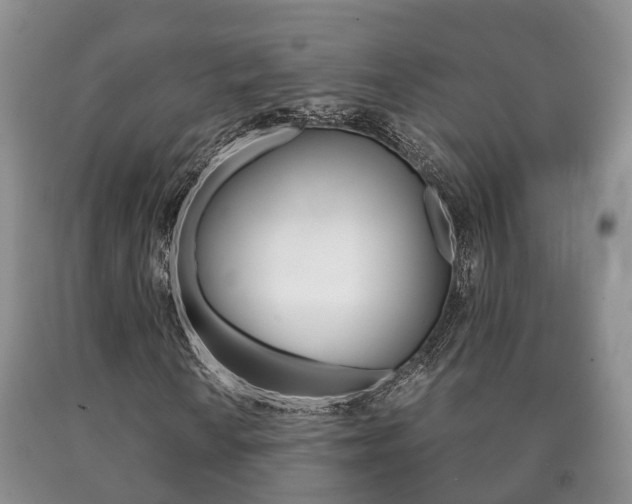 X0000091061010200708060955