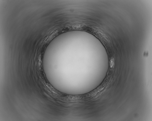 X0000091061011200708060955