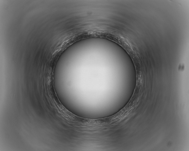 X0000091061012200708060955