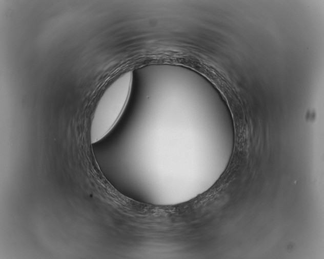 X0000091061013200708060955