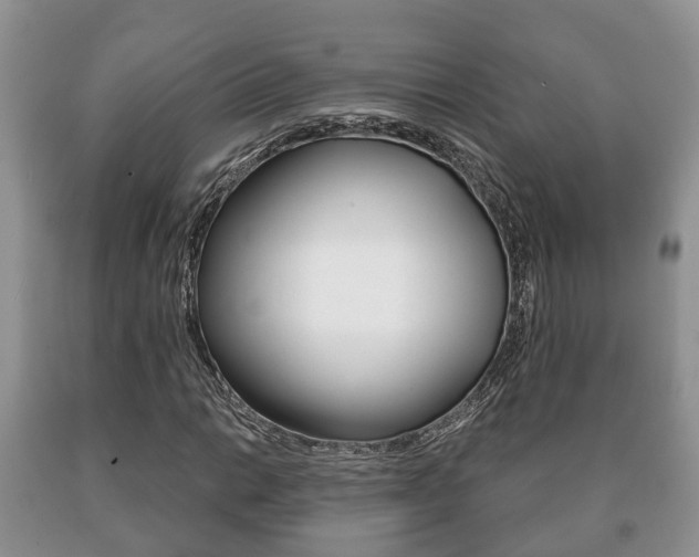X0000091061014200708060955