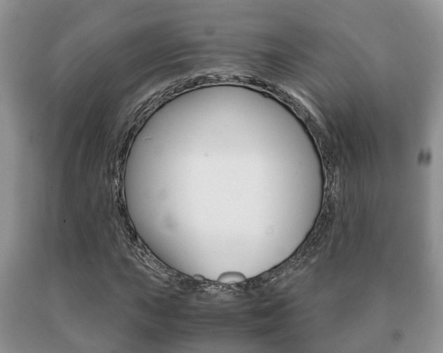 X0000091061015200708060955